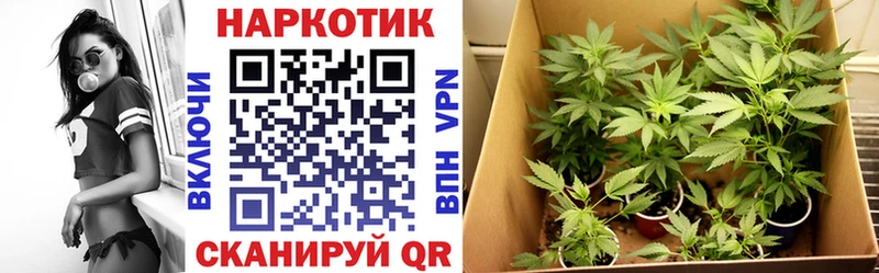  Кокаин Северодвинск