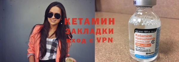 стаф Алзамай