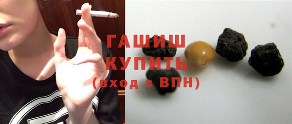 стаф Алзамай