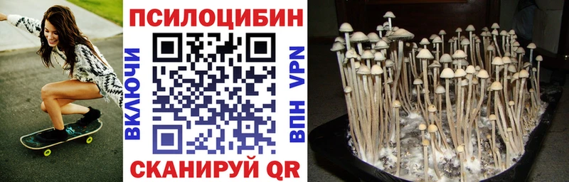 Псилоцибиновые грибы Psilocybine cubensis  Северодвинск 