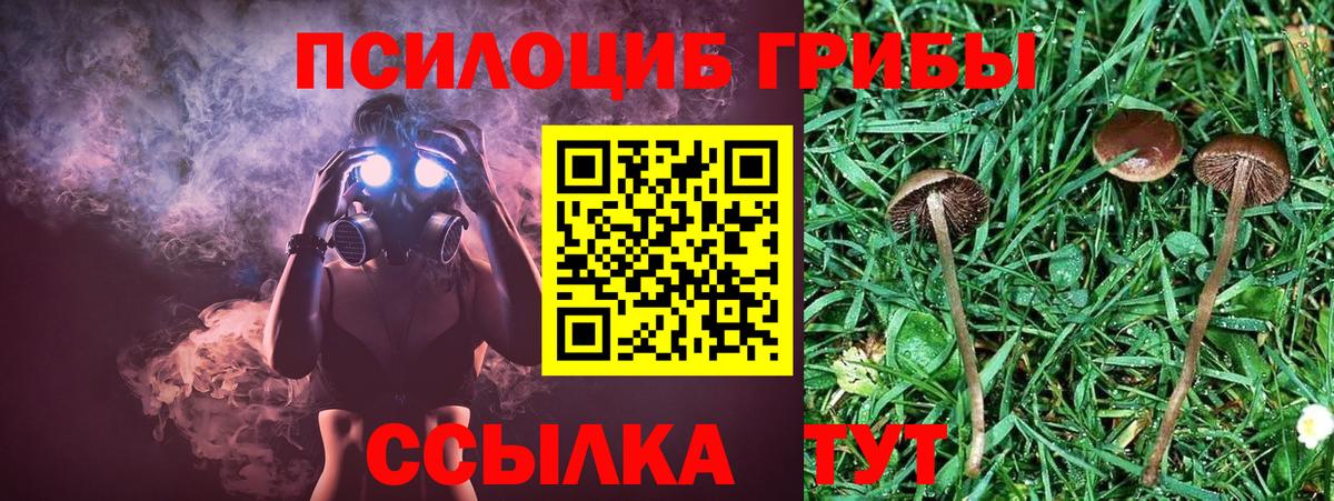 Северодвинск  Псилоцибиновые грибы GOLDEN TEACHER  Псилоцибиновые грибы прущие грибы  Вход с VPN 